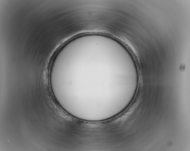 X0000097670781200803211941