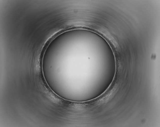 X0000097670782200803211941