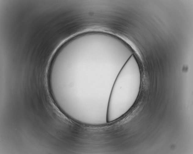 X0000097670783200803211941