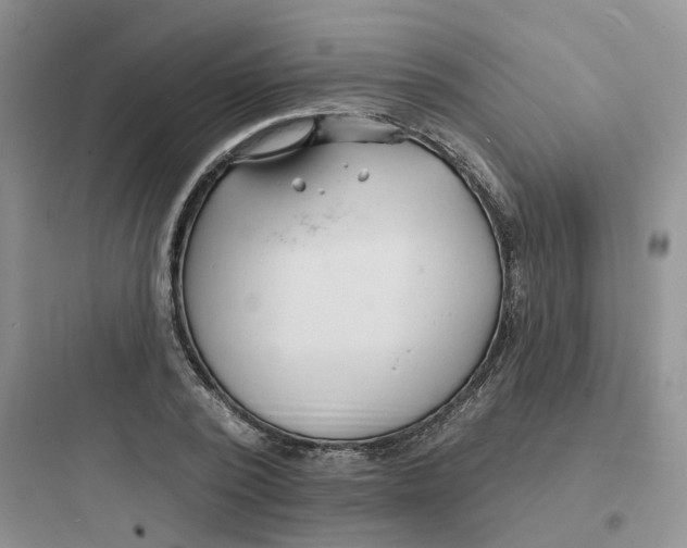 X0000097670784200803211941