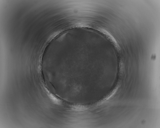 X0000097670785200803211941