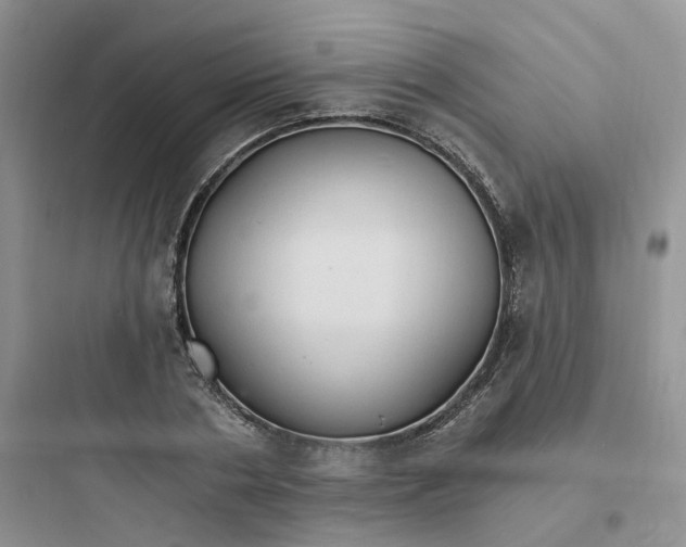 X0000097670786200803211941