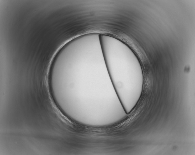 X0000097670787200803211941