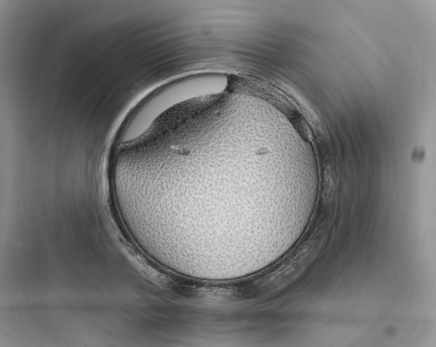 X0000097670788200803211941