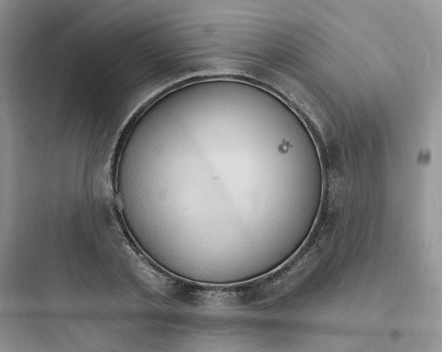 X0000097670789200803211941