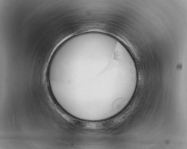 X0000097670790200803211941