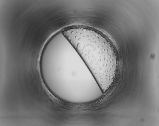 X0000097670791200803211941