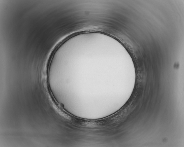 X0000097670792200803211941