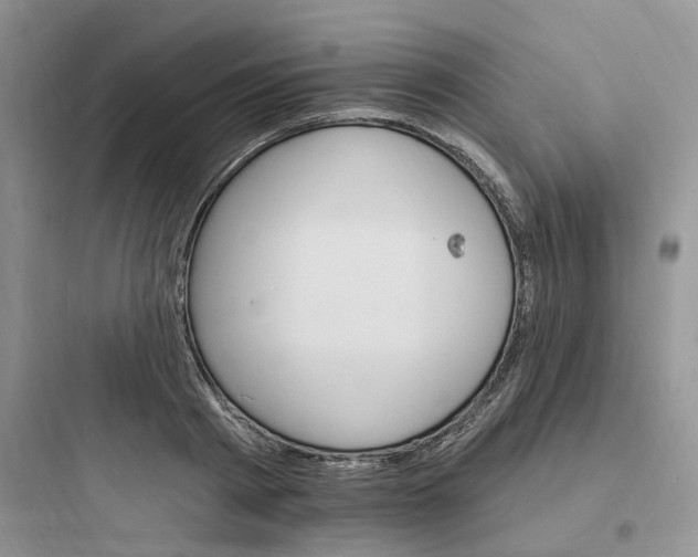 X0000097670793200803211941