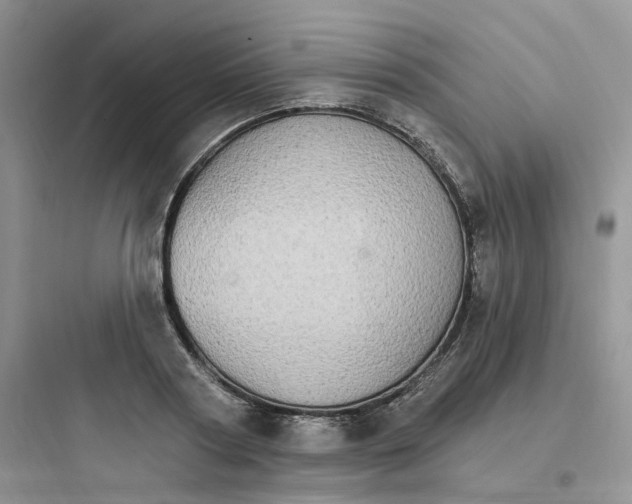 X0000097670794200803211941