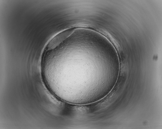 X0000097670795200803211941