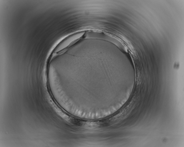 X0000097670796200803211941