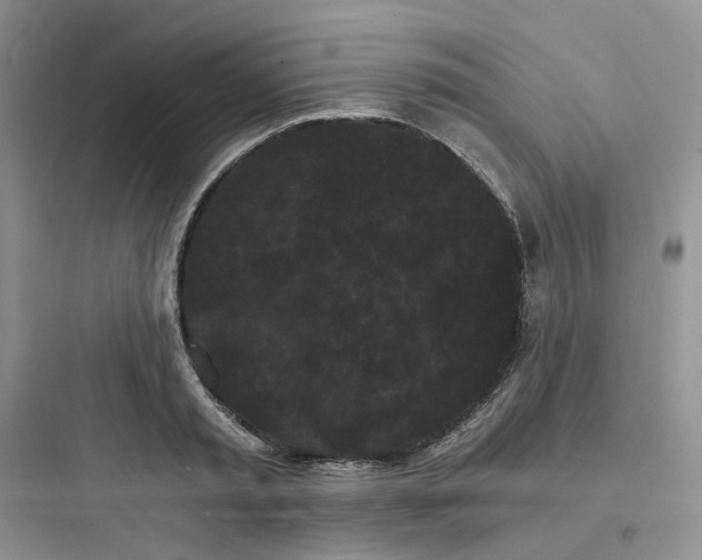 X0000097670797200803211941