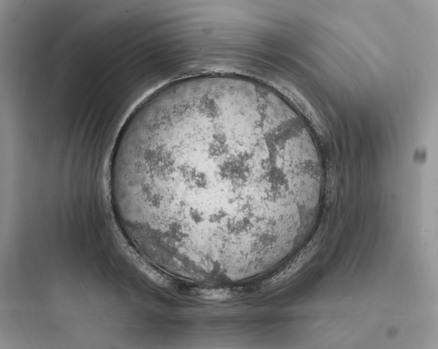 X0000097670798200803211941