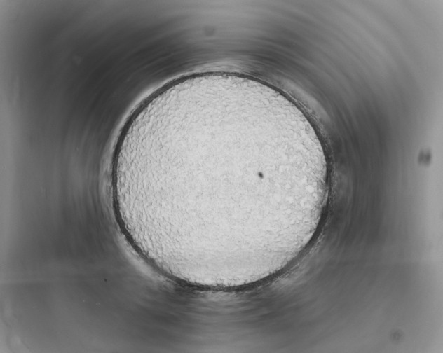 X0000097670800200803211941