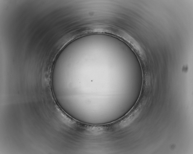 X0000097670801200803211941