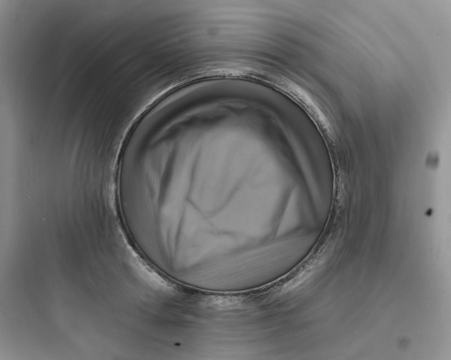 X0000097670802200803211941