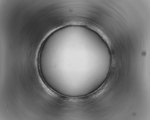 X0000097670803200803211941