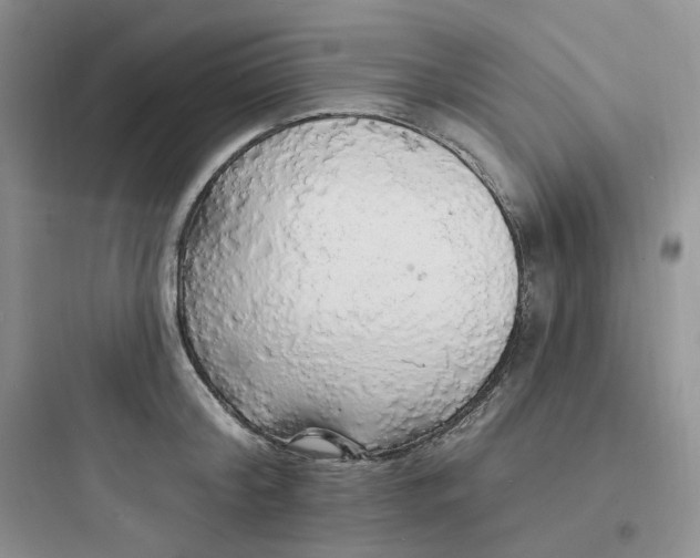 X0000097670804200803211941