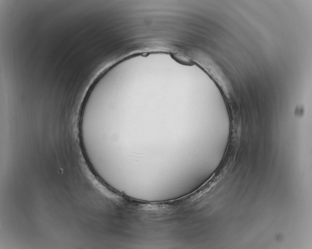 X0000097670805200803211941