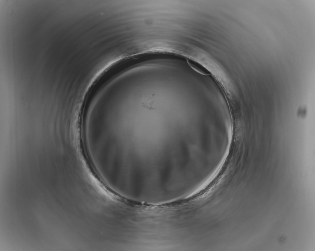 X0000097670806200803211941