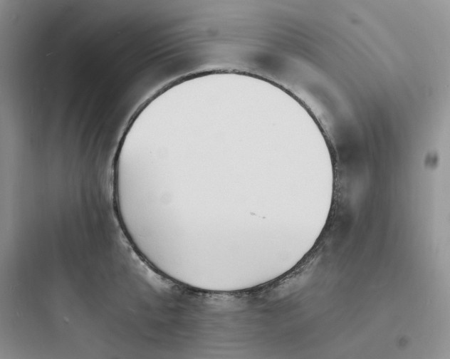 X0000097670807200803211941