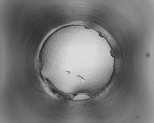 X0000097670808200803211941