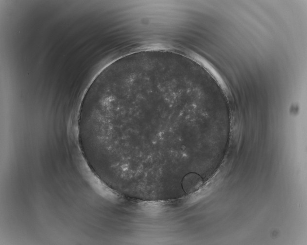 X0000097670810200803211941