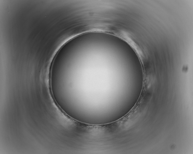 X0000097670811200803211941