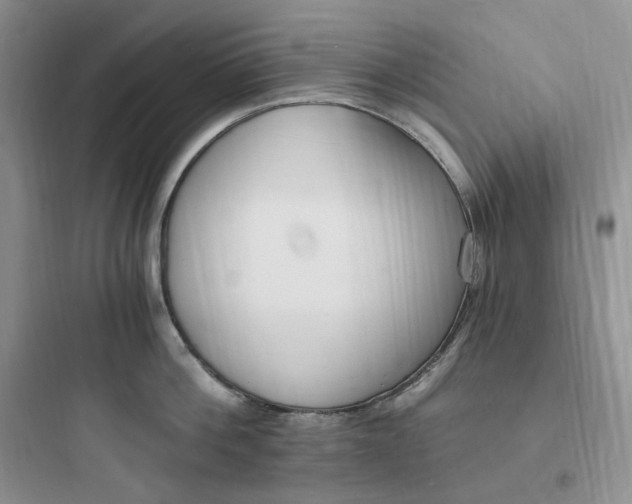 X0000097670812200803211941