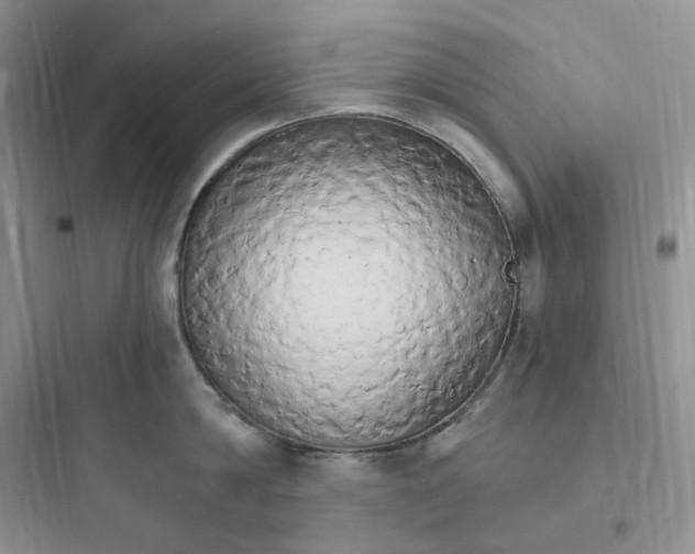 X0000097670814200803211941