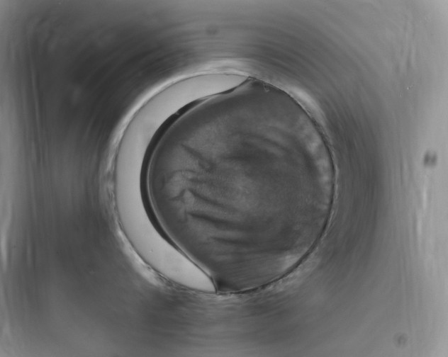 X0000097670816200803211941