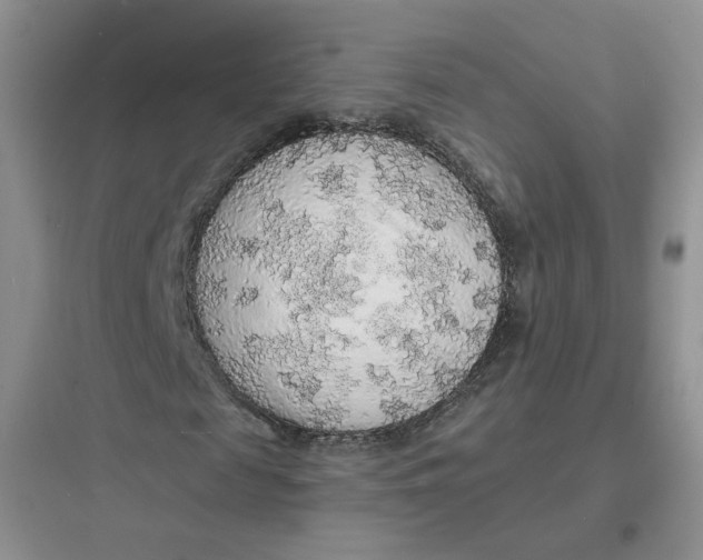 X0000097670817200803211940