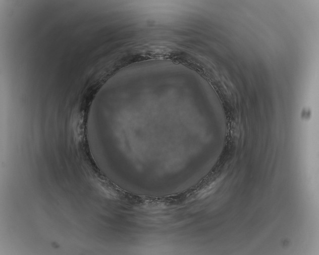 X0000097670818200803211940