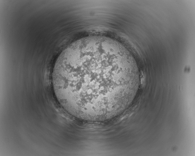 X0000097670819200803211940