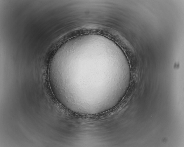 X0000097670821200803211940