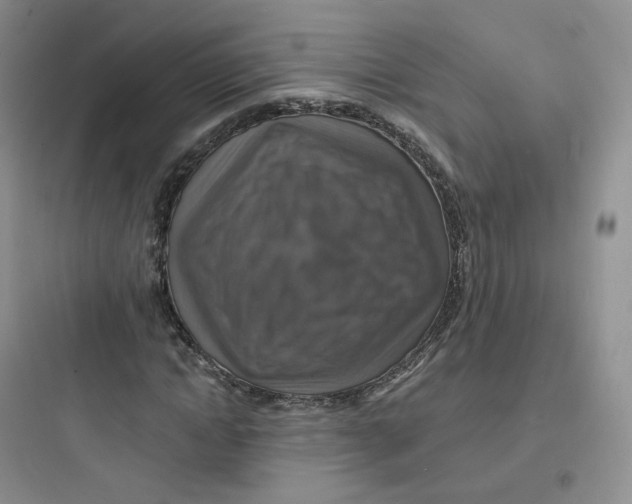 X0000097670822200803211940