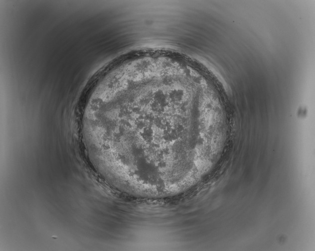 X0000097670823200803211940