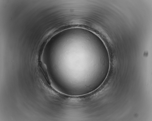 X0000097670825200803211940