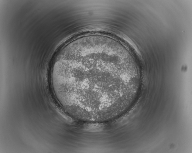 X0000097670826200803211940