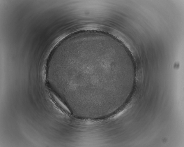 X0000097670829200803211940