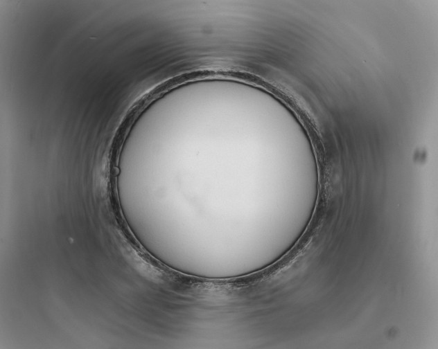 X0000097670831200803211940