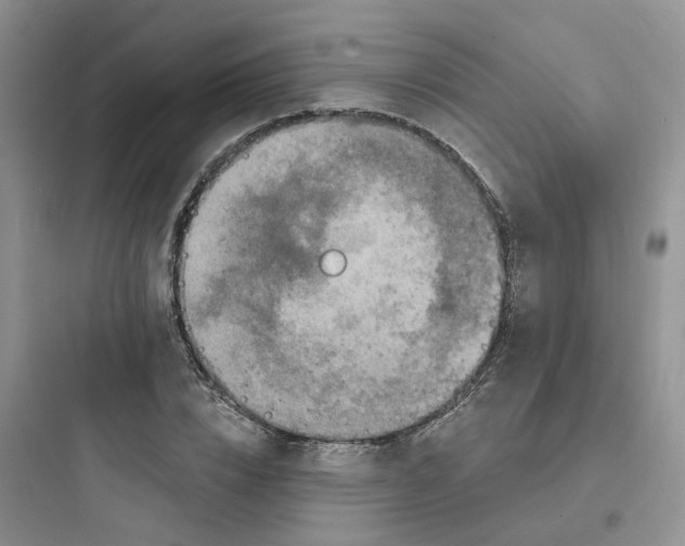 X0000097670832200803211940