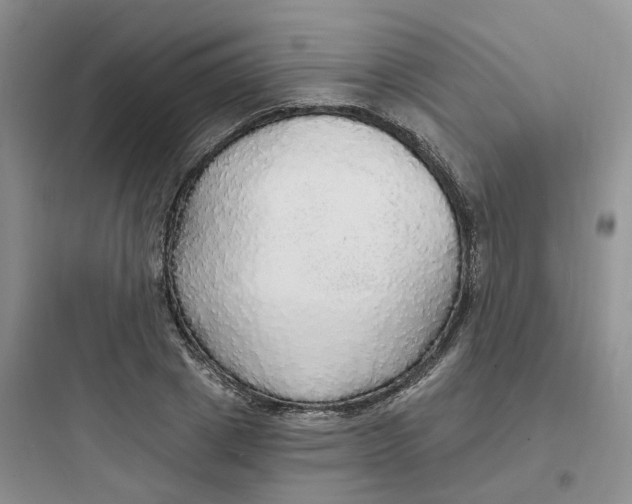 X0000097670833200803211940