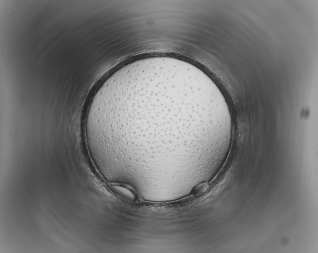 X0000097670834200803211940