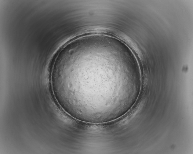 X0000097670835200803211940