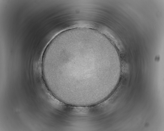 X0000097670836200803211940