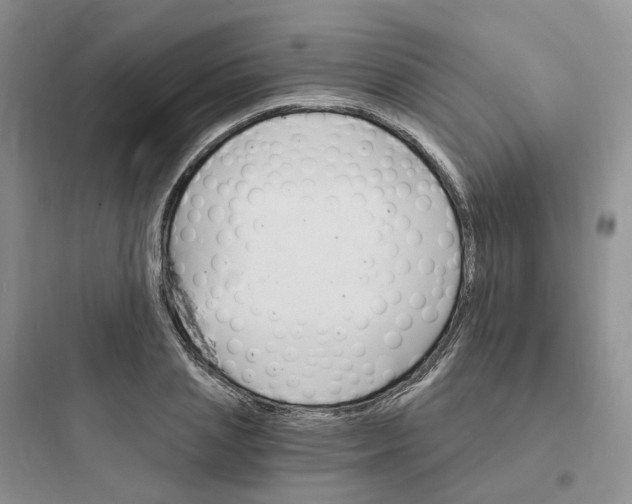 X0000097670837200803211940