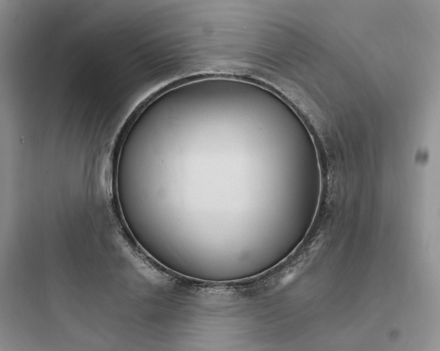 X0000097670838200803211940