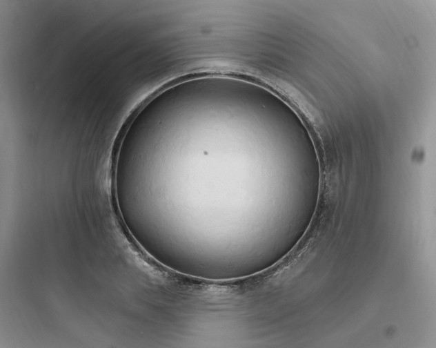 X0000097670839200803211940